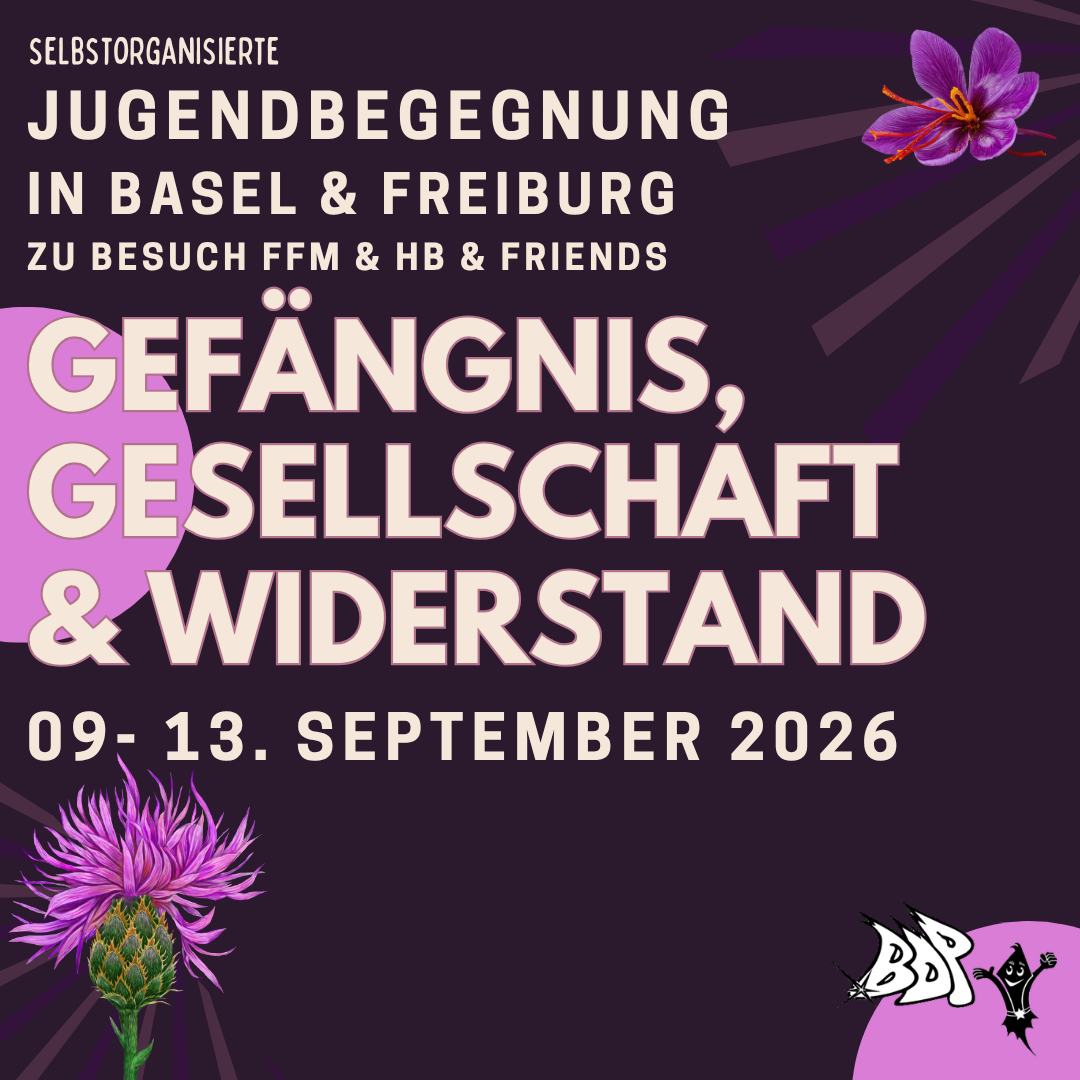 Gefängnis, Gesellschaft & Widerstand